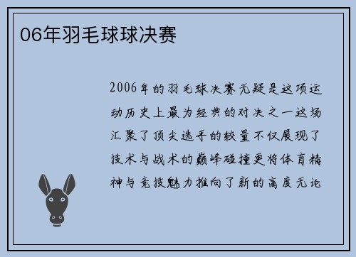 06年羽毛球球决赛