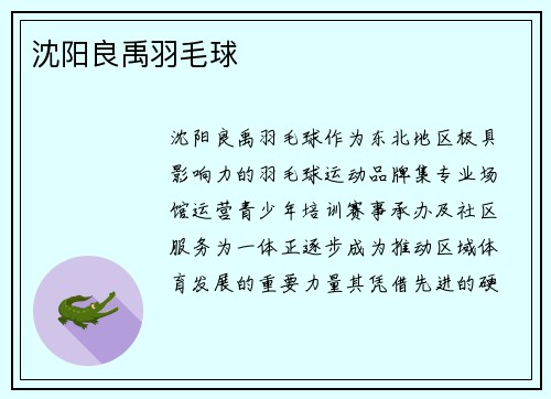 沈阳良禹羽毛球